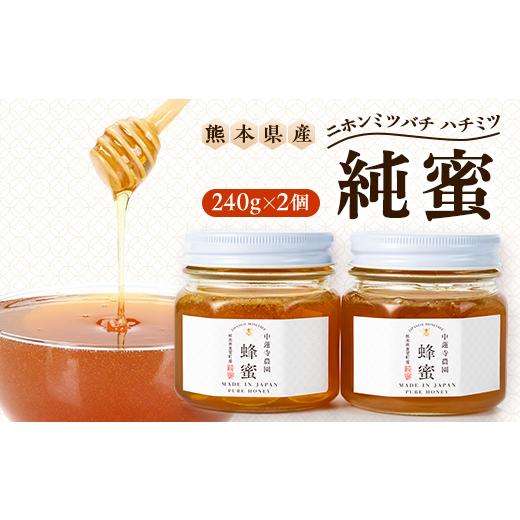 ふるさと納税 加工品等 はちみつ 熊本県 美里町  数量限定 熊本県 美里町 ニホンミツバチ ハチミツ 純蜜 240g×2個 中蓮寺農園 1625008の画像