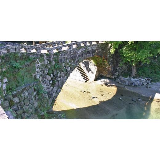 ふるさと納税 加工品等 はちみつ 熊本県 美里町  数量限定 熊本県 美里町 ニホンミツバチ ハチミツ 純蜜 240g×2個 中蓮寺農園 1625008の画像