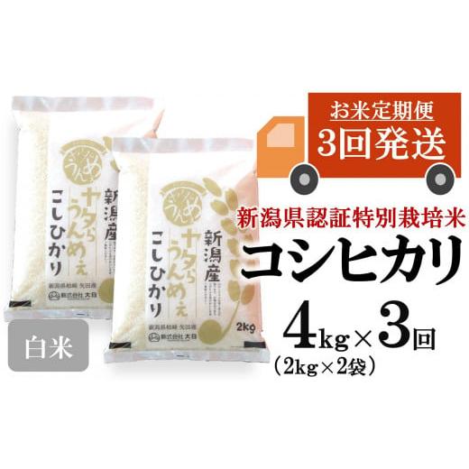 ふるさと納税 米 コシヒカリ 新潟県 柏崎市 令和7年産米・3ヶ月定期便 コシヒカリ 白米 4kg(2kg×2袋)×3回(計 12kg)ヤタらうんめぇ お米 新潟県産 小分…