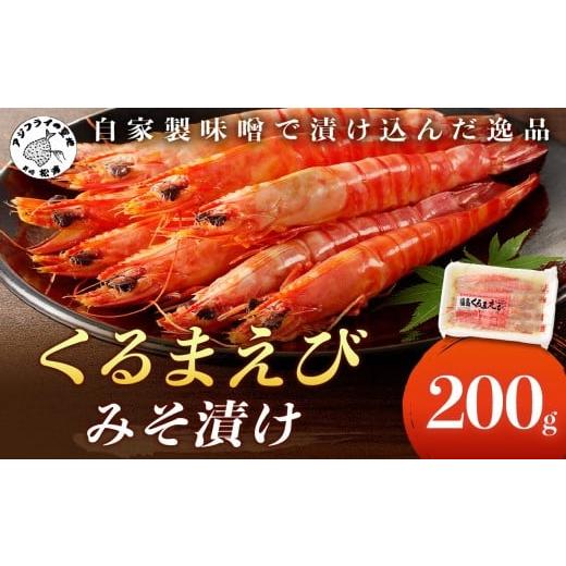 ふるさと納税 エビ・カニ等 エビ 長崎県 松浦市 くるまえびみそ漬け 11月発送 ( くるまえび 味噌漬け みそ漬け ) B0-214-11M 2025年11月発送