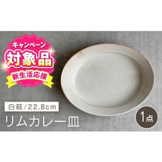 ふるさと納税 食器・グラス 皿 愛知県 瀬戸市 瀬戸焼 リムカレー皿(白萩) 株式会社カネ三商店 / 皿 食器 カレー皿 ギフト プレゼント / 瀬戸市