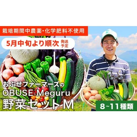 ふるさと納税 セット・詰合せ 長野県 小布施町 ［ 栽培期間中 農薬・化学肥料不使用］ OBUSE Meguru 野菜セット M 8〜11種類 ［おぶせファーマーズ］野菜 詰め…_1