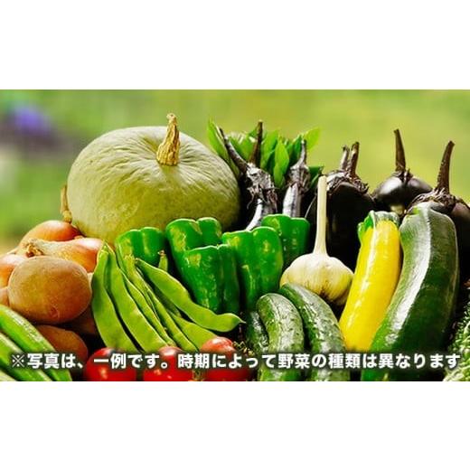 ふるさと納税 セット・詰合せ 長野県 小布施町 ［ 栽培期間中 農薬・化学肥料不使用］ OBUSE Meguru 野菜セット M 8〜11種類 ［おぶせファーマーズ］野菜 詰め…_2