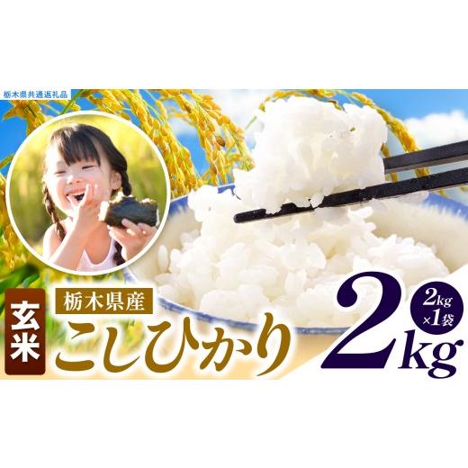 ふるさと納税 玄米 栃木県 真岡市 先行予約 訳あり 令和8年度産 玄米 約2kg こしひかり | 真岡市産 米 お米 こめ 玄米 ご飯 ごはん もちもち コシヒカリ 限定…