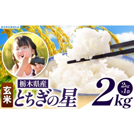 ふるさと納税 玄米 栃木県 真岡市 先行予約 訳あり 令和8年度産 玄米 約2kg とちぎの星 | 真岡市産 米 お米 こめ 玄米 ご飯 ごはん とちぎの星 大粒 限定 ふ…
