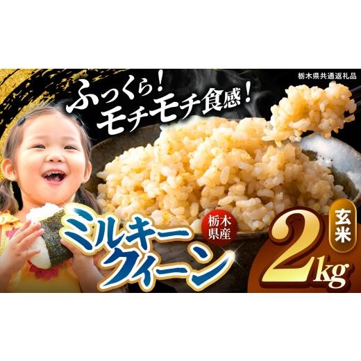 ふるさと納税 米 ミルキークイーン 栃木県 真岡市 先行予約 訳あり 令和8年度産 玄米 約2kg ミルキークイーン | 真岡市産 米 お米 こめ 玄米 ご飯 ごはん も…