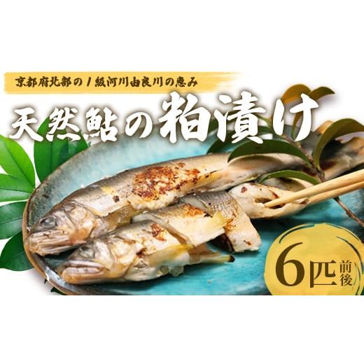 ふるさと納税 川魚 あゆ 京都府 舞鶴市 天然鮎の粕漬け 6匹 由良川漁協 あゆ 鮎 アユ 魚 魚介 川魚 海鮮 漬け魚 粕漬け 酒粕 天然 大人 贅沢 おつまみ 酒の肴 …