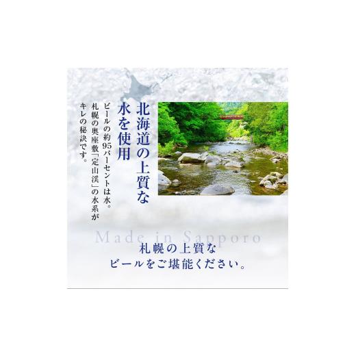 ふるさと納税 麦酒 北海道 札幌市  定期便10ヶ月 アサヒ生ビール マルエフ 500ml 24缶 1入れもの 北海道工業プラント生み出すこと 缶麦酒 麦酒 マルエフ まろやか 北海道ビ…