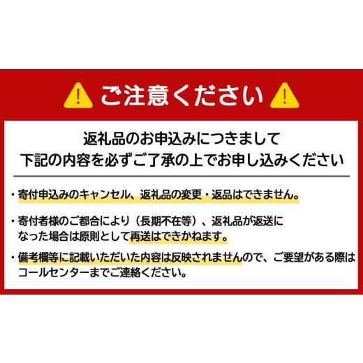 ふるさと納税 麦酒 北海道 札幌市  定期便10ヶ月 アサヒ生ビール マルエフ 500ml 24缶 1入れもの 北海道工業プラント生み出すこと 缶麦酒 麦酒 マルエフ まろやか 北海道ビ…