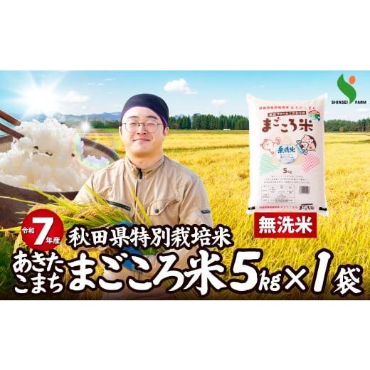 ふるさと納税 米 あきたこまち 秋田県 大館市 令和7年産秋田県特別栽培米あきたこまち「まごころ米(無洗米)」5kg / 米 無洗米 5kg あきたこまち 令…