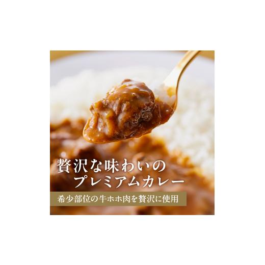 ふるさと納税 加工品等 レトルト 宮城県 岩沼市  定期便 2ヶ月 カレー 牛ホホ肉のグリルカレー 7個 セット ニシキヤ キッチン レトルト No.5704-0983の画像