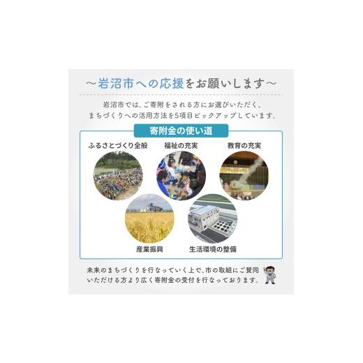 ふるさと納税 雑貨・日用品 宮城県 岩沼市 定期便 トイレットペーパー シングル スコッティ 2倍長持ち 72ロール ( 12ロール × 2パック )《 4ヶ月ごと 計 3回 …_6