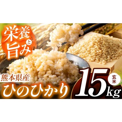 ふるさと納税 米 ヒノヒカリ 熊本県 玉名市 定期便12回 熊本県産 ひの