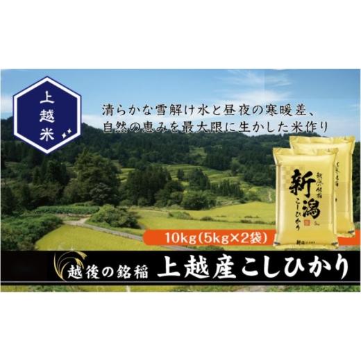 ふるさと納税 米 コシヒカリ 新潟県 上越市 令和7年産 新潟県上越産
