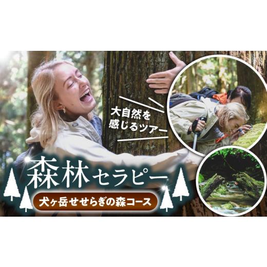 ふるさと納税 体験チケット 福岡県 豊前市 森林セラピー(犬ヶ岳せせらぎの森コース) [豊前市] 豊前観光まちづくり協会 体験 ツアー 旅行 自然探索 登山 VD…