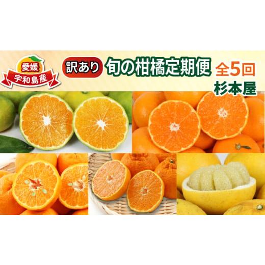 ふるさと納税 果物類 みかん 愛媛県 宇和島市 訳あり 旬 の 柑橘定期便 全5回 杉本屋 先行予約 わけあり みかん定期便 極早生 完熟みかん 柑橘 みかん ポンカ…