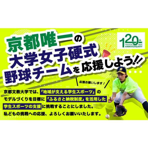 ふるさと納税 スポーツ・アウトドア 京都府 宇治市  Mサイズ・紺色 京都文教大学 女子硬式野球チームTシャツ(1枚) uj-DO001-M-B 京都文教大学 Mサイズ・紺色の画像