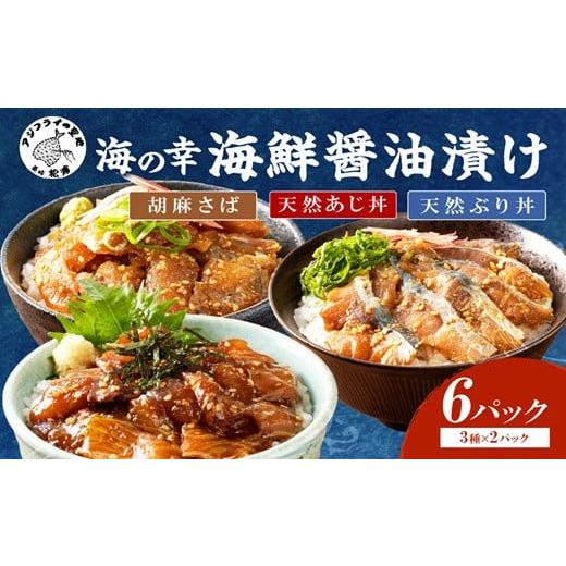 ふるさと納税 漬魚(味噌・粕等) 長崎県 松浦市 海の幸 海鮮醤油漬けセット 1月発送 ( アジ サバ ブリ 天然 あじ さば ぶり 海鮮丼 流水解凍 お手軽 時短 簡…