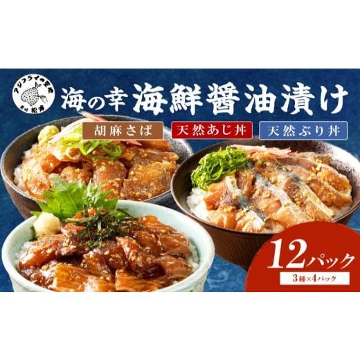 ふるさと納税 魚貝類 長崎県 松浦市 流水解凍だけの簡単調理 まんぷく海鮮醤油漬けセット 12月発送 ( 計 12 パック (3種類×4パック) アジ サバ ブリ 海鮮 …