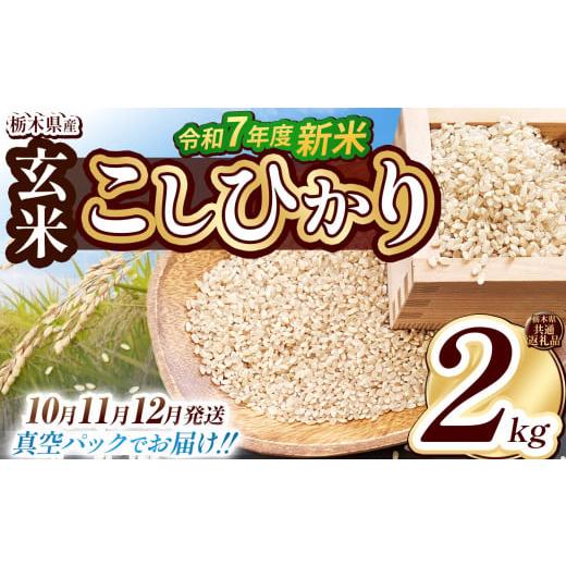 ふるさと納税 米 コシヒカリ 栃木県 下野市 栃木県共通返礼品 12月発送 数量限定 令和7年度新米 栃木県産こしひかり(玄米真空パック) 2kg | 玄米 精米 お米…