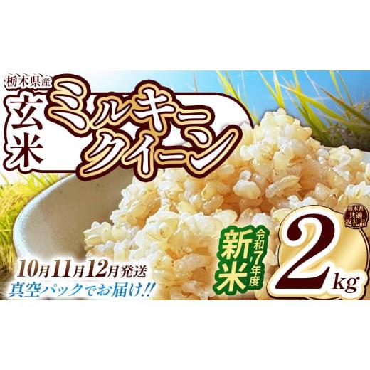 ふるさと納税 米 ミルキークイーン 栃木県 下野市 栃木県共通返礼品 12月発送 数量限定 令和7年度新米 栃木県産ミルキークイーン(玄米真空パック) 2kg | 玄…