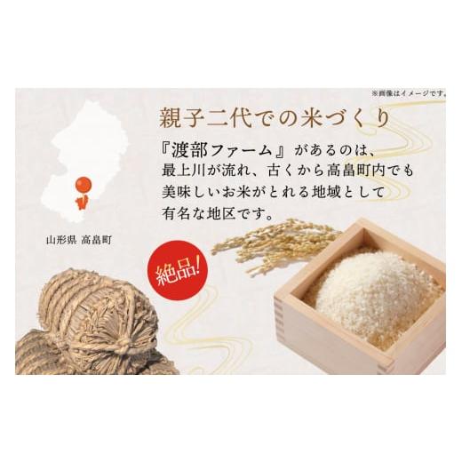 ふるさと納税 米 はえぬき 山形県 高畠町 米 令和7年 はえぬき 10kg 令和7年はえぬき精米