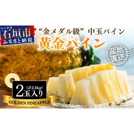 ふるさと納税 果物類 沖縄県 石垣市 先行予約 石垣島産 黄金パイン 中玉 2玉 約2.6kg 2026年7月以降発送 産地直送 沖縄 石垣 フルーツ パイナップル パイン …