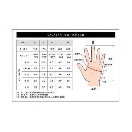 ふるさと納税 服 男 香川県 さぬき市  LLサイズ ペッカリードライビンググローブ（カラー：コルク×ライトブラウン） LLサイズの画像