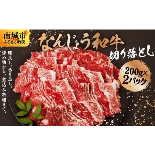 ふるさと納税 牛肉 沖縄県 南城市 [使い勝手抜群 ] 和牛切り落とし 200g×2パック なんじょう和牛 合計400g I 和牛 切り落とし なんじょう和牛 ブランド和牛…