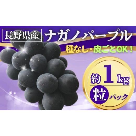 ふるさと納税 ぶどう マスカット 長野県 千曲市 2026年先行予約 ぶどう ナガノパープル粒パック 約1kg| 果物 フルーツ 黒ぶどう 種無し 皮ごと 千曲市 長野…