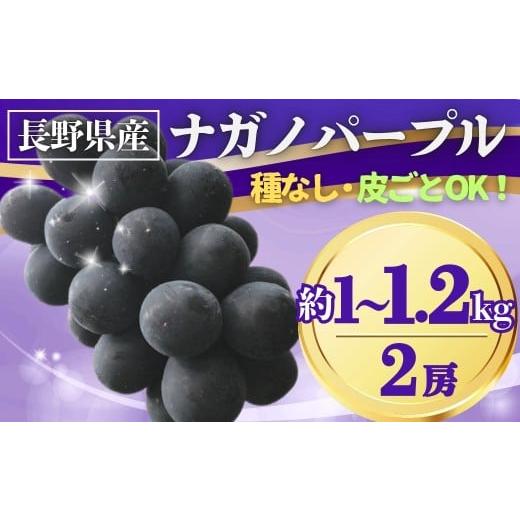 ふるさと納税 果物類 ぶどう 長野県 千曲市 2026年先行予約 ぶどう ナガノパープル 約1~1.2kg(2房)| 果物 フルーツ 黒ぶどう 葡萄 ブドウ 種無し 種なし 皮…