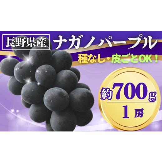ふるさと納税 果物類 ぶどう 長野県 千曲市 2026年先行予約 ぶどう ナガノパープル 約700g(1房)| 果物 フルーツ 黒ぶどう 葡萄 ブドウ 種無し 種なし 皮ごと…