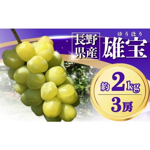 ふるさと納税 ぶどう マスカット 長野県 千曲市 2026年先行予約 ぶどう 雄宝(ゆうほう) 約2kg(3房)| 果物 フルーツ ぶどう 葡萄 ブドウ 種無し 種なし 皮ご…