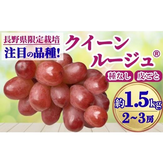 ふるさと納税 ぶどう マスカット 長野県 千曲市 2026年先行予約 クイーンルージュ? 約1.5kg(2~3房)| 果物 フルーツ 赤ぶどう 葡萄 ブドウ 種無し 種なし 皮…