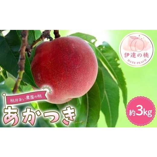 ふるさと納税 もも 福島県 伊達市  2026年出荷分先行予約 福島県産 あかつき 約3kg (9〜12玉) 桃井あい農園 伊達の桃 桃 フルーツ 果物 もも モモ momo F21C-2…の画像