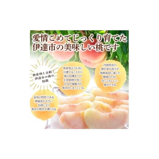 ふるさと納税 もも 福島県 伊達市  2026年出荷分先行予約 福島県産 あかつき 約3kg (9〜12玉) 桃井あい農園 伊達の桃 桃 フルーツ 果物 もも モモ momo F21C-2…の画像