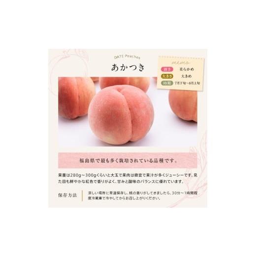 ふるさと納税 もも 福島県 伊達市  2026年出荷分先行予約 福島県産 あかつき 約3kg (9〜12玉) 桃井あい農園 伊達の桃 桃 フルーツ 果物 もも モモ momo F21C-2…の画像