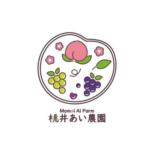 ふるさと納税 もも 福島県 伊達市  2026年出荷分先行予約 福島県産 あかつき 約3kg (9〜12玉) 桃井あい農園 伊達の桃 桃 フルーツ 果物 もも モモ momo F21C-2…の画像