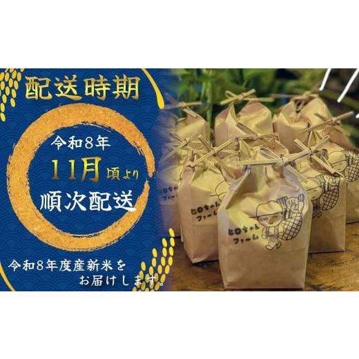 ふるさと納税 米 ヒノヒカリ 奈良県 田原本町 先行予約 数量限定 令和8 
