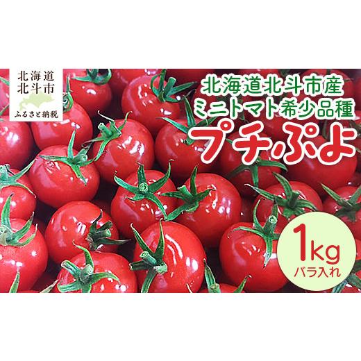 ふるさと納税 トマト ミニトマト 北海道 北斗市 2026年6月以降発送 北海道北斗市産ミニトマト希少品種「プチぷよ」 ふるさと納税 人気 おすすめ ランキング …