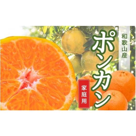 ふるさと納税 みかん・柑橘類 デコポン 和歌山県 紀美野町 1月より発送 先行予約 家庭用ポンカン7.5kg+250g(傷み補償分)