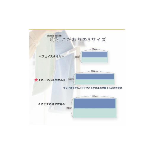 ふるさと納税 タオル・寝具 バスタオル 愛媛県 今治市 （今治タオルブランド認定品）DAILY PRAIRIE リバーシブルハーフバスタオル 3枚セット （グレー／ターコ…_7