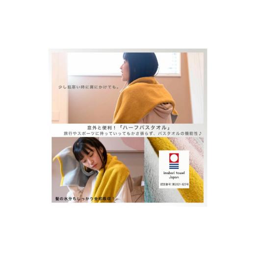 ふるさと納税 タオル・寝具 バスタオル 愛媛県 今治市 （今治タオルブランド認定品）DAILY PRAIRIE リバーシブルハーフバスタオル 3枚セット （グレー／ターコ…_8