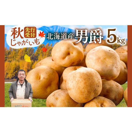 ふるさと納税 野菜類 じゃがいも 北海道 清水町 今が旬 すぐ届く 10月より発送開始 先行受付 ホクホク しっとりなめらか 北海道産 男爵 いも じゃがいも 男爵…