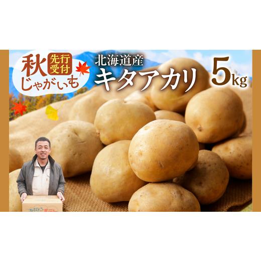 ふるさと納税 野菜類 じゃがいも 北海道 清水町 今が旬 すぐ届く 10月より発送開始 ホクホク しっとりなめらか 北海道産 キタアカリ いも じゃがいも きたあか…