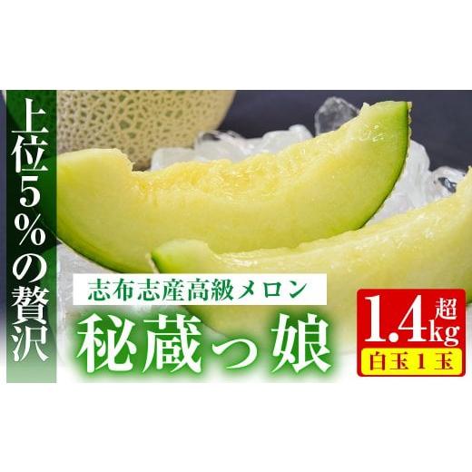 ふるさと納税 メロン メロン青肉 鹿児島県 志布志市 冬限定 極上メロン「秘蔵っ娘」白玉(青肉)1個 メロン マスクメロン 果物 くだもの デザート 青肉 a5-059-…