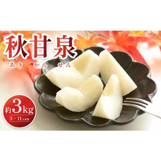 ふるさと納税 梨 鳥取県 岩美町 2026・先行予約 プレミアム秋甘泉(あきかんせん)3kg|鳥取 果物 くだもの フルーツ なし 梨 和梨 旬 数量限定 2026年収穫後…