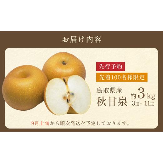 ふるさと納税 梨 鳥取県 岩美町  2026・先行予約 プレミアム秋甘泉（あきかんせん）3kg｜鳥取 果物 くだもの フルーツ なし 梨 和梨 旬 数量限定 2026年収穫後…_5