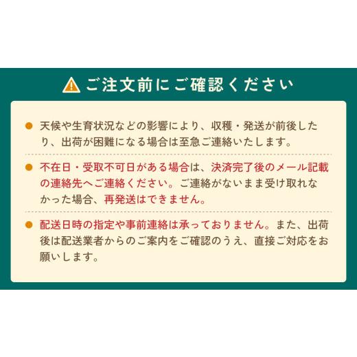 ふるさと納税 梨 鳥取県 岩美町  2026・先行予約 プレミアム秋甘泉（あきかんせん）3kg｜鳥取 果物 くだもの フルーツ なし 梨 和梨 旬 数量限定 2026年収穫後…_6