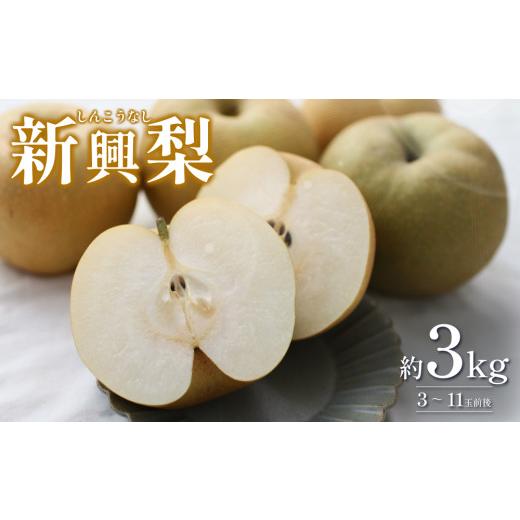 ふるさと納税 梨 鳥取県 岩美町 2026・先行予約 新興梨(しんこうなし)3kg|鳥取 果物 くだもの フルーツ なし 梨 和梨 旬 数量限定 2026年収穫後 41037